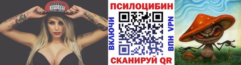 Псилоцибиновые грибы Magic Shrooms  Купить где  Приволжский 